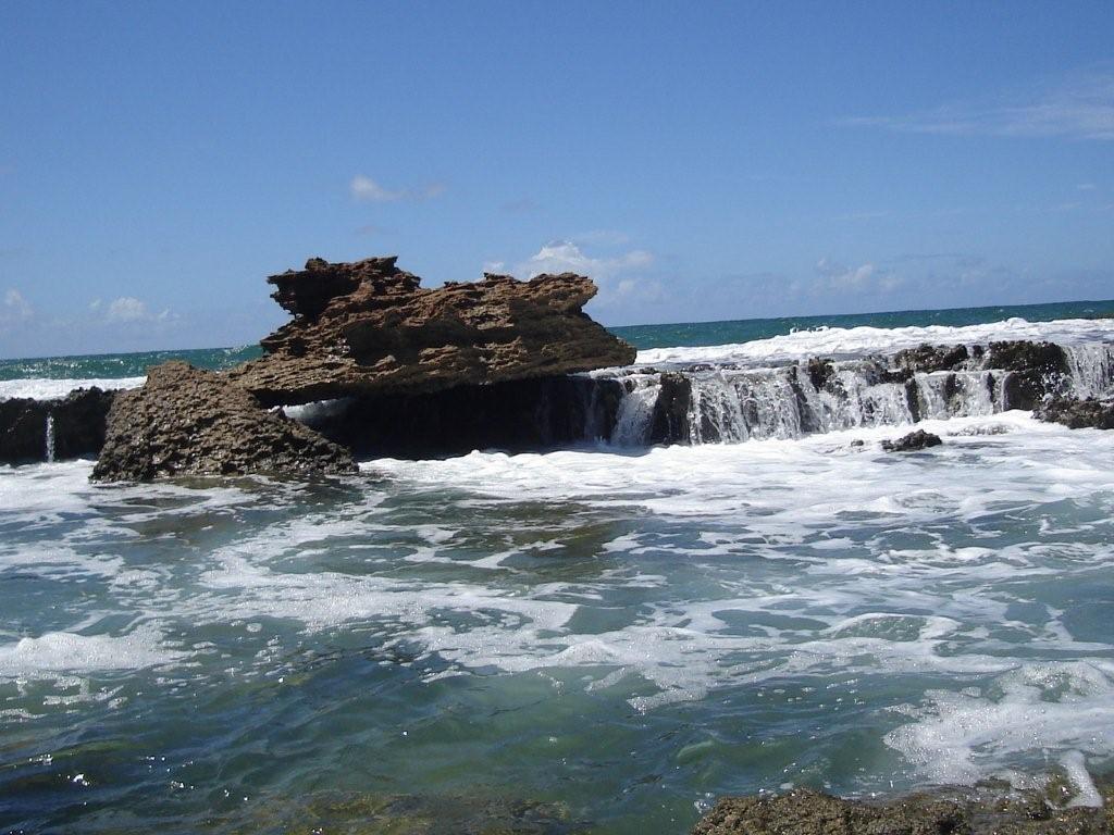 Geólogos cobram sinalização de arrecifes